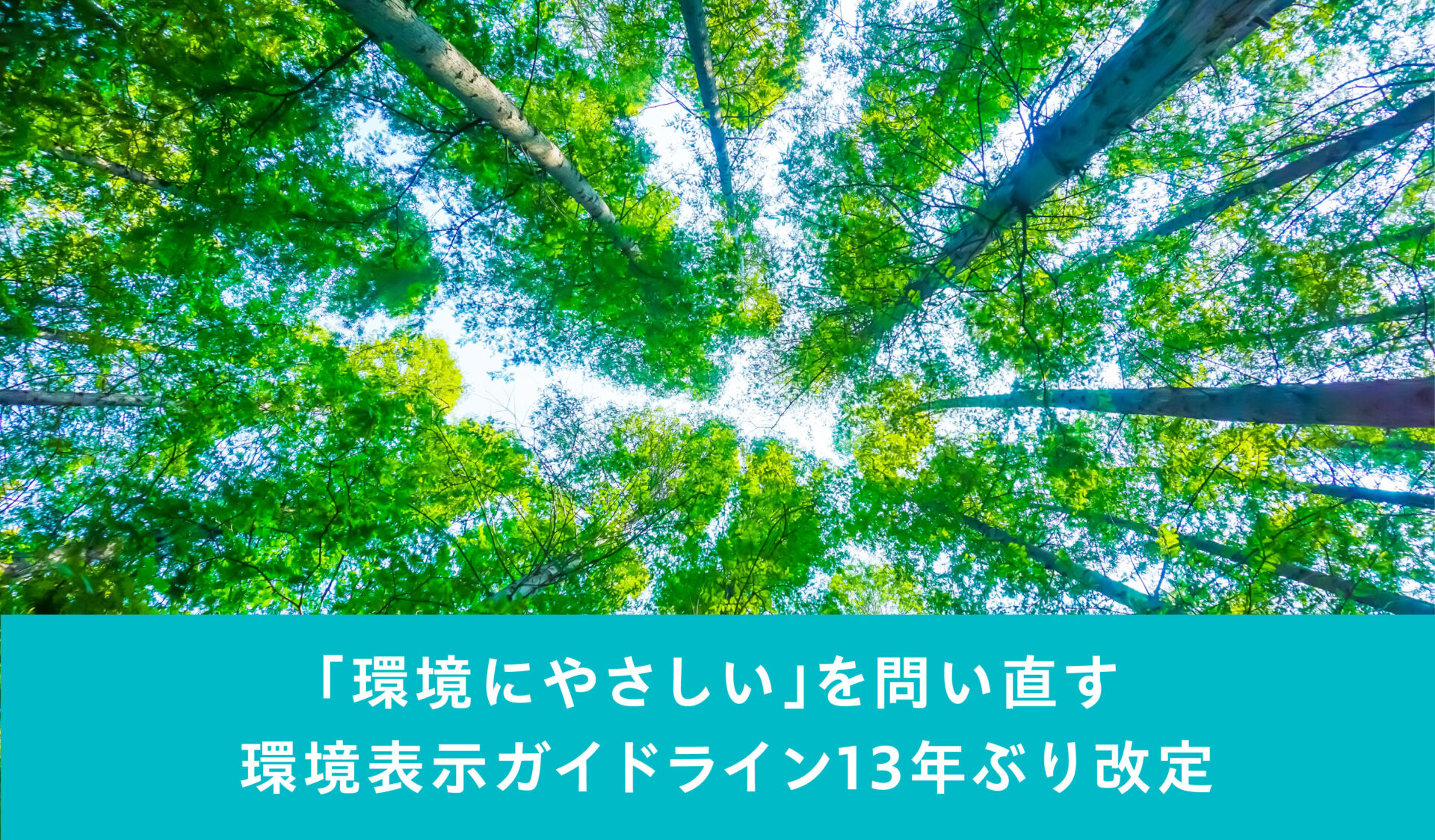 メインビジュアルスライド画像⑤