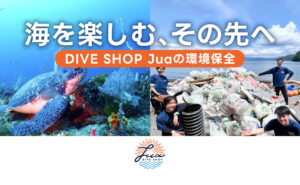 海を楽しむ、その先へ｜DIVE SHOP Juaの環境保全