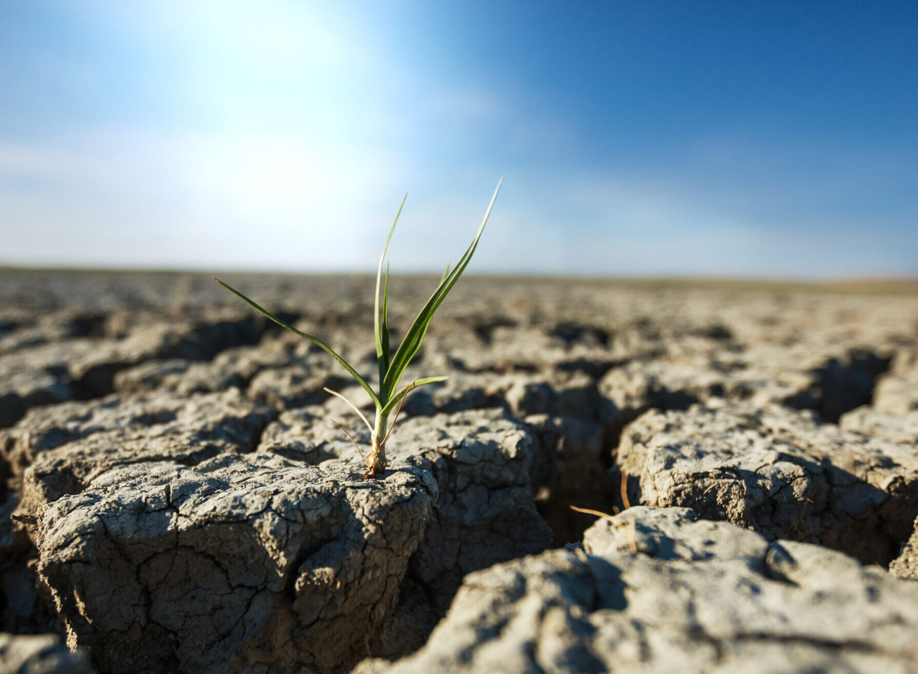 「人が生きられない暑さ」はすでに始まっている、｜最新研究が示す“熱波の危険”