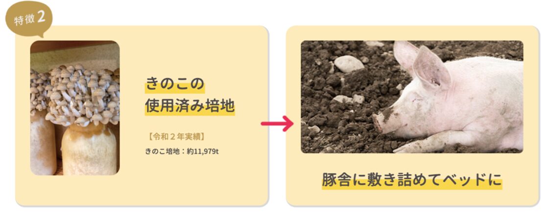 SDGsな豚肉「ますますポーク」、｜子どもたちの未来を支える取り組みイメージ画像
