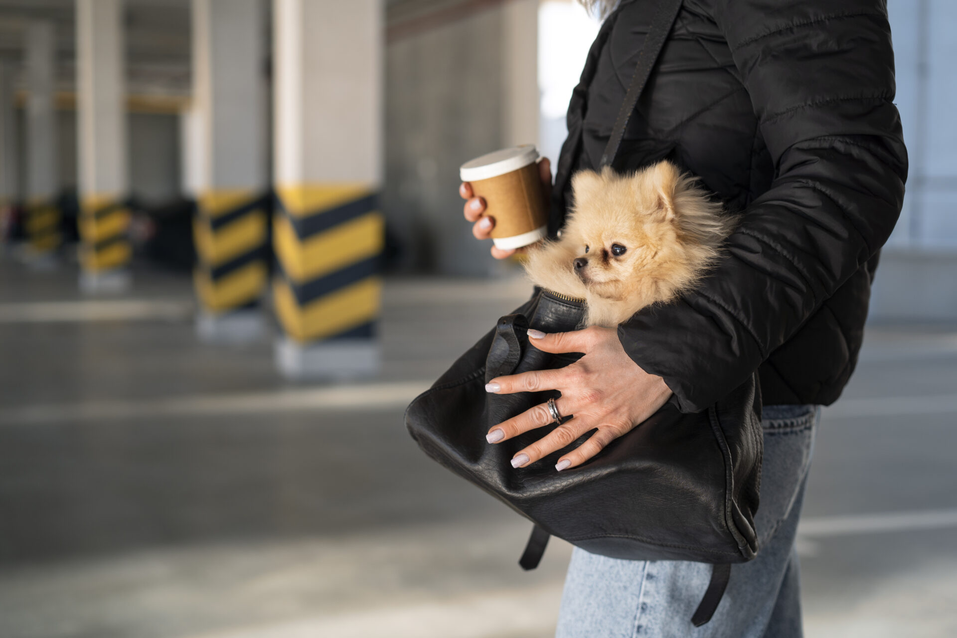 【2026年4月22日から施行】ペットとヨーロッパへ行く前に｜EUの新ルールが教えてくれる「関わり方」イメージ画像