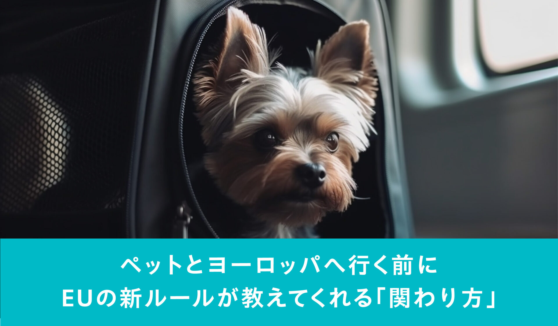 メインビジュアルスライド画像④