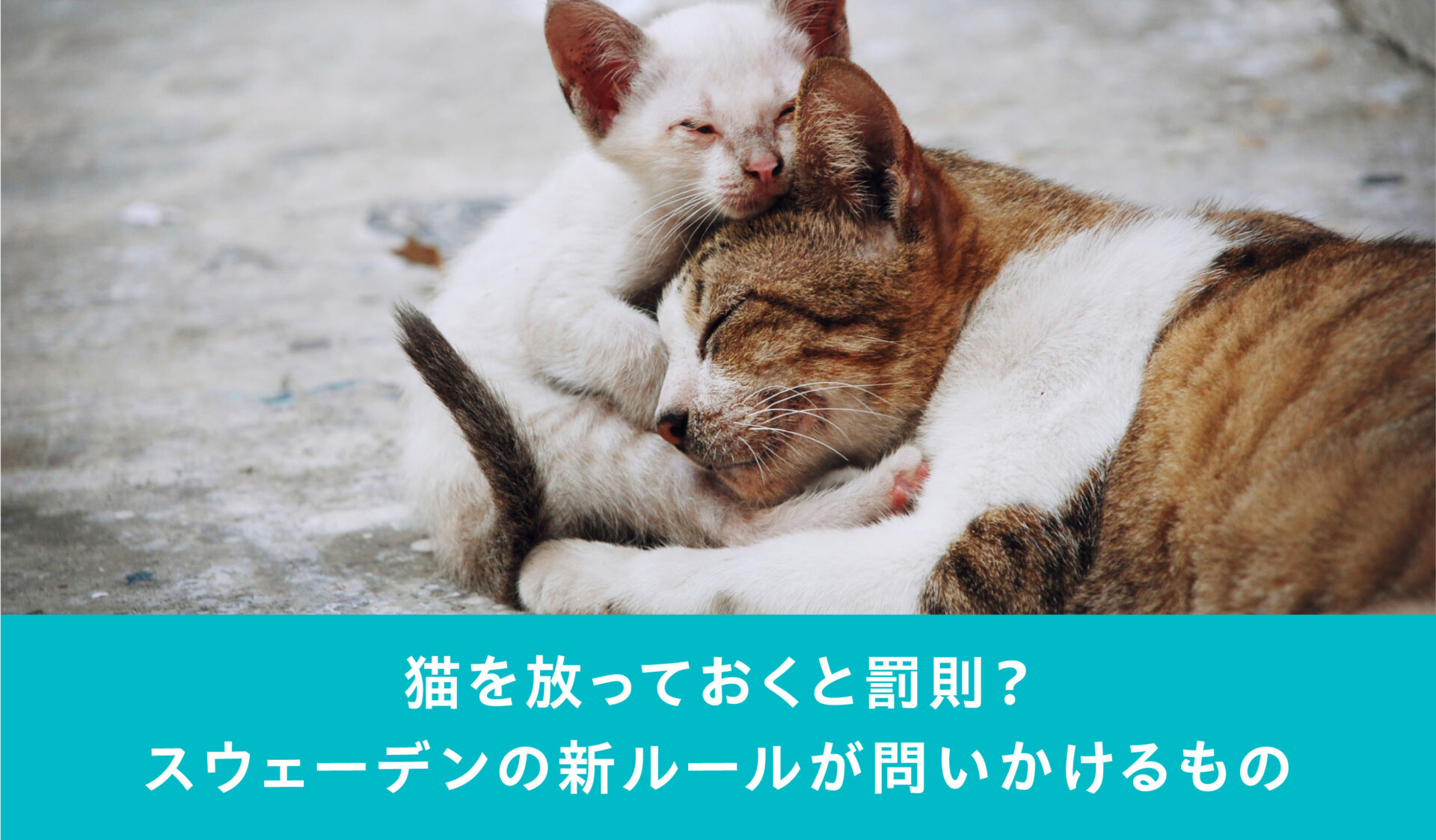 メインビジュアルスライド画像④