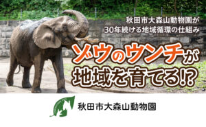 ゾウのウンチが地域を育てる⁉｜秋田市大森山動物園が30年続ける地域循環の仕組み
