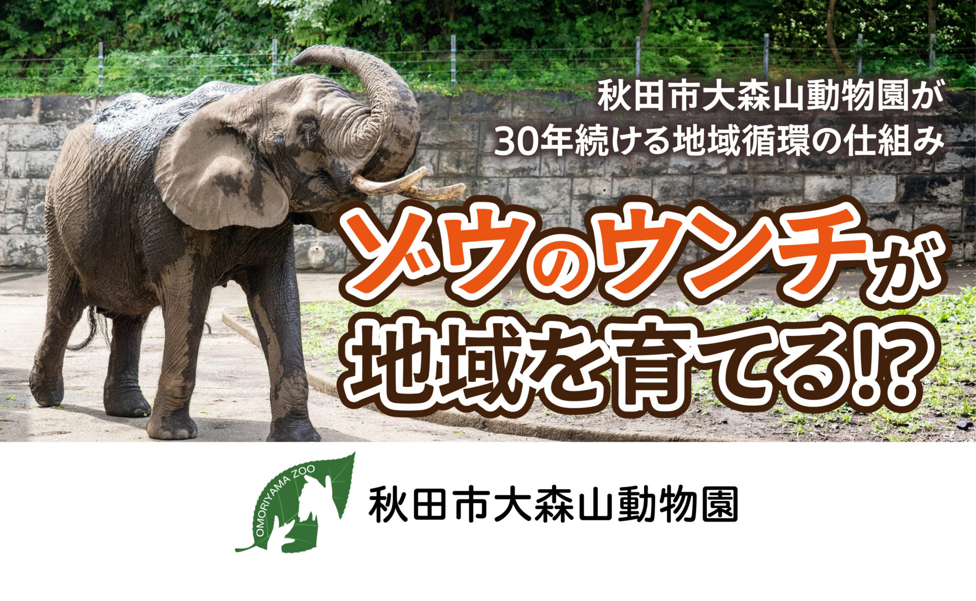 メインビジュアルスライド画像1