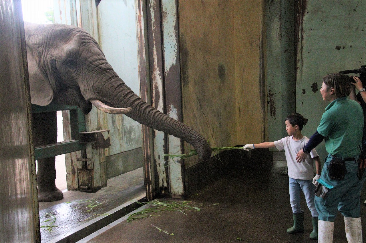 ゾウのウンチが地域を育てる⁉｜秋田市大森山動物園が30年続ける地域循環の仕組みイメージ画像