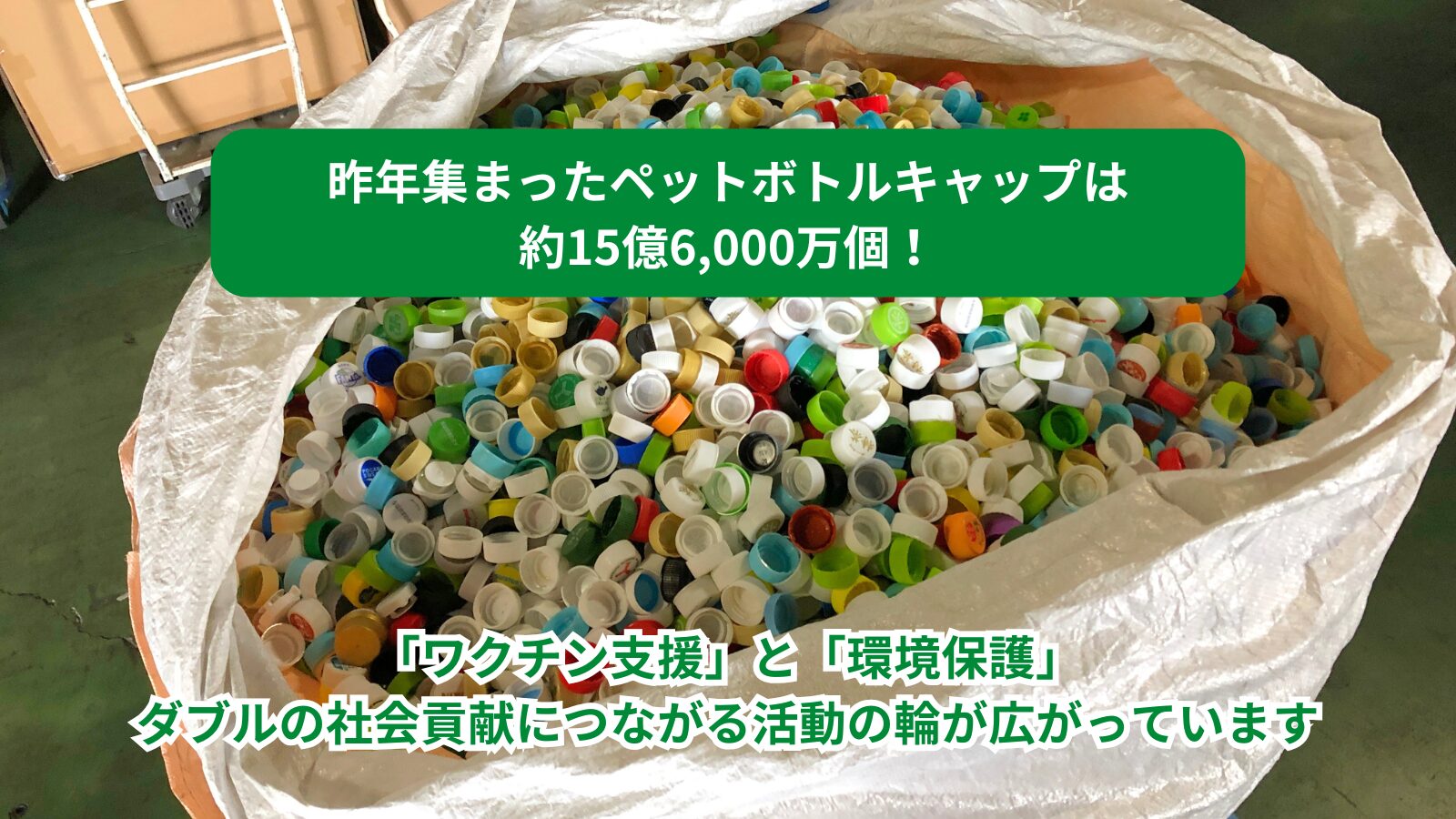 日常に社会貢献を。｜ペットボトルキャップをワクチン支援に
