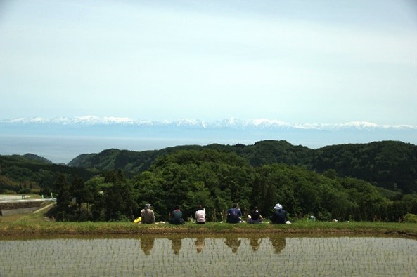 消えゆく棚田を未来へ。｜地域活性化を目指す『WEAZER』プロジェクト始動イメージ画像