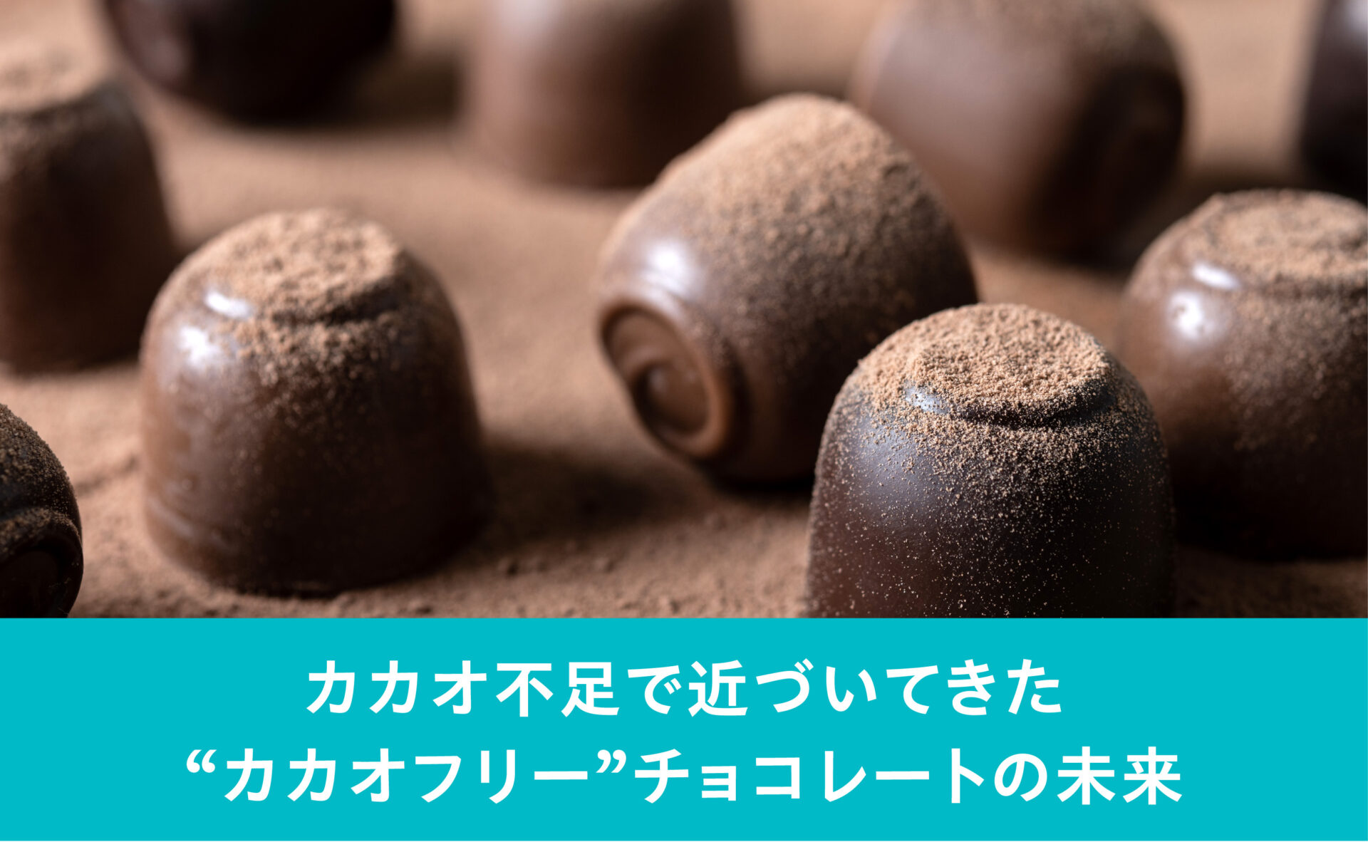 メインビジュアルスライド画像4