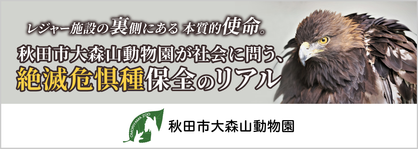 スポンサーバナー画像
