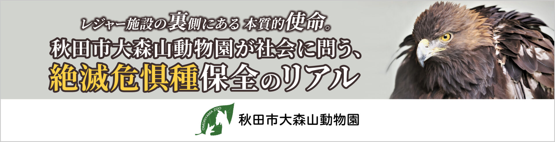 スポンサーバナー画像