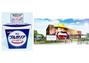 ヨーグルトカップの捨て方が変わる？｜紙カップ回収が開始